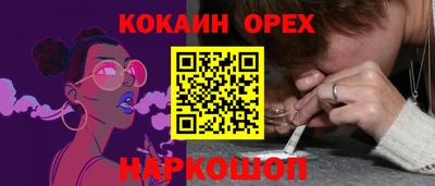 индика Лесосибирск