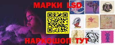 индика Лесосибирск