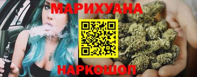 индика Лесосибирск