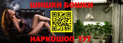 индика Лесосибирск