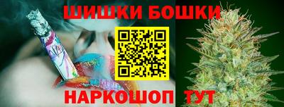 индика Лесосибирск