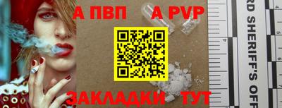 индика Лесосибирск