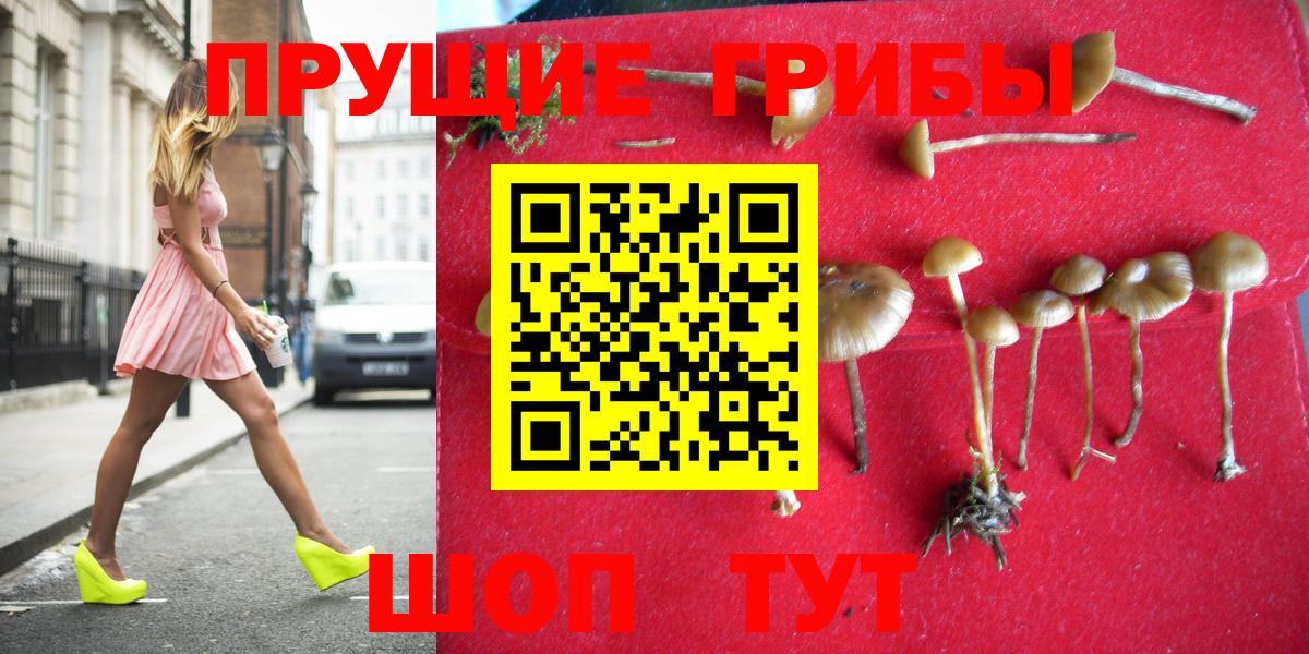 Галлюциногенные грибы прущие грибы Вязьма