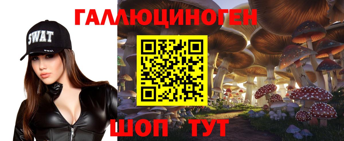 Вязьма  Псилоцибиновые грибы прущие грибы  Вход с VPN 