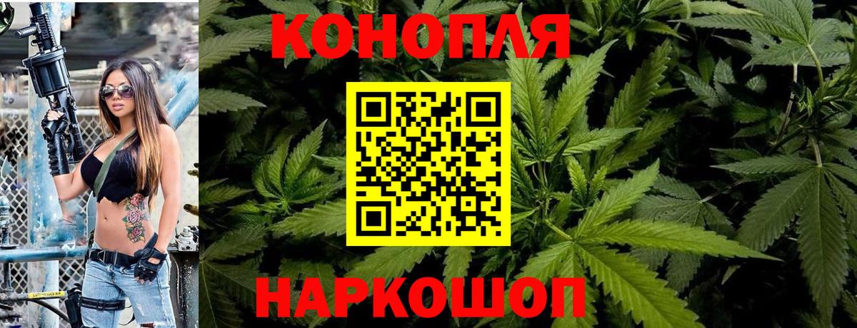 Шишки марихуана семена Вязьма